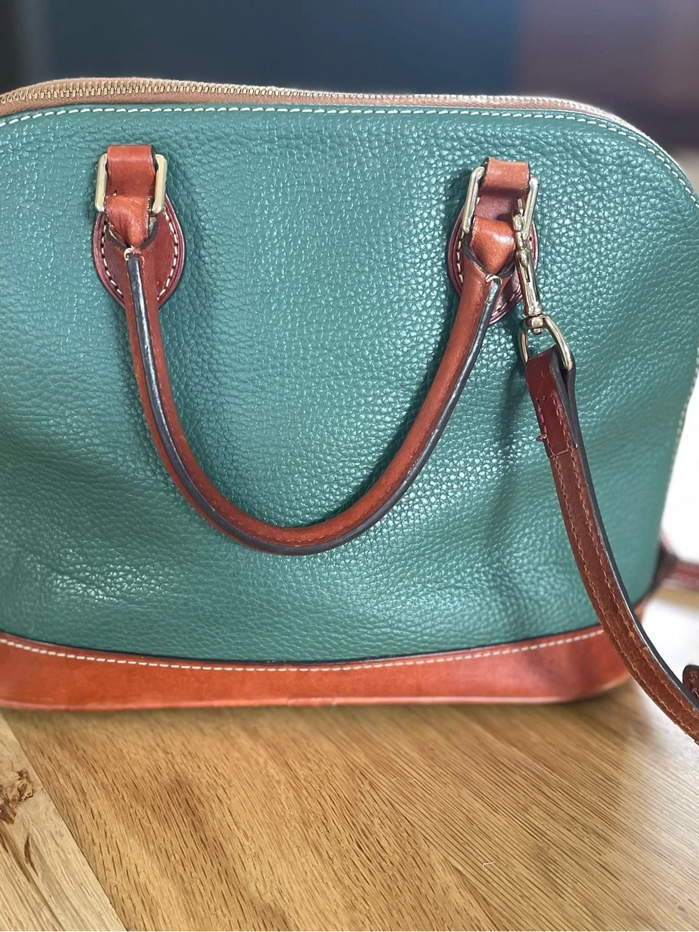 Dooney & Bourke Green Leather Satchel with Brown Trim and Gold Plate
